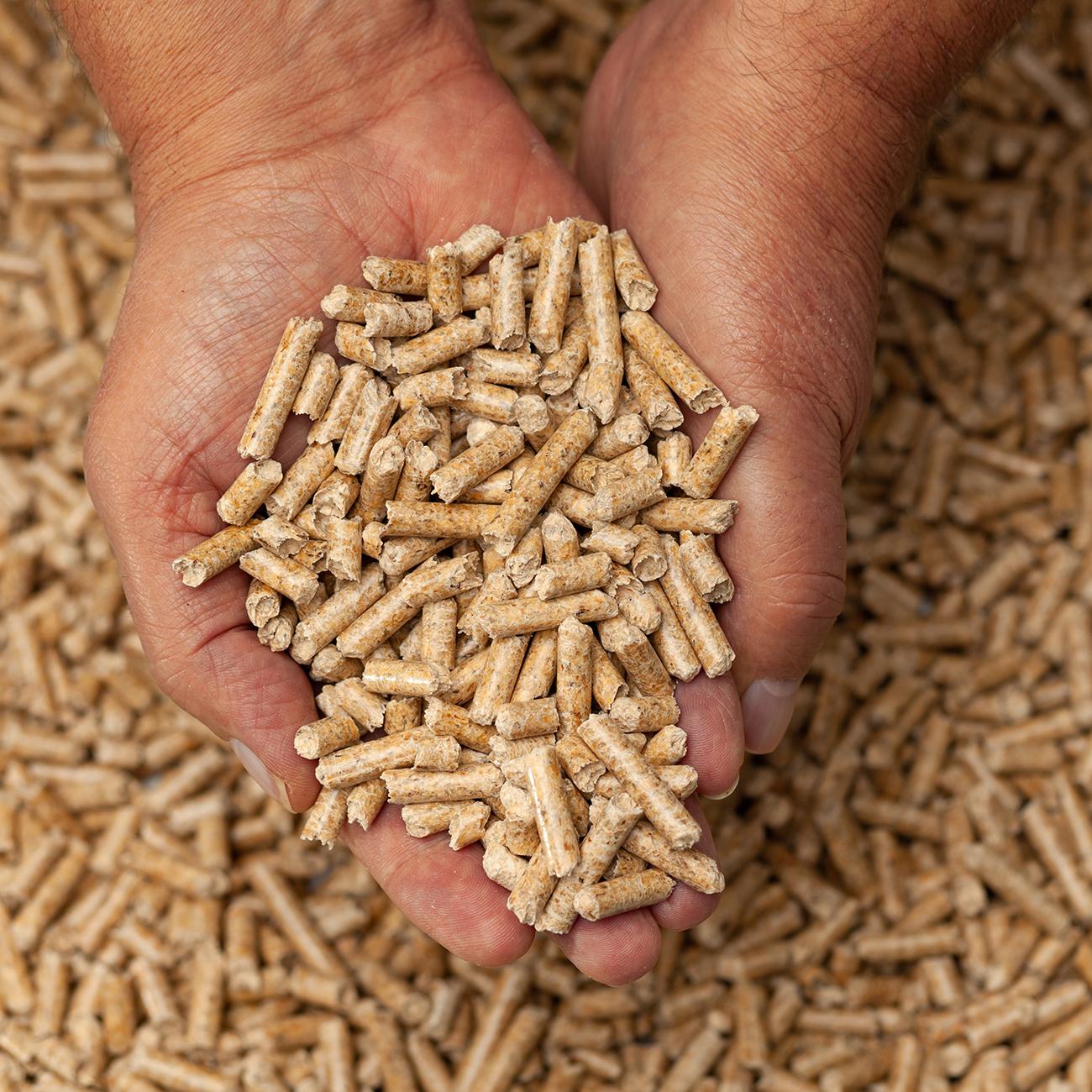 Pelet Yakıtı Kullanırken Dikkat Edilmesi Gerekenler